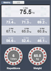 1 RM calculator